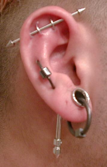 http://www.ishiboo.com/~nirva/Play/other/cp/right-ear.jpg